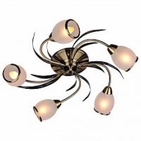 Потолочная люстра Omnilux Auxois OML-35827-05 фото Потолочная люстра Omnilux Auxois OML-35827-05