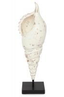 Декор- ракушка Secret De Maison Shell (MA-1398) (Античный белый) фото Декор- ракушка Secret De Maison Shell (MA-1398) (Античный белый)