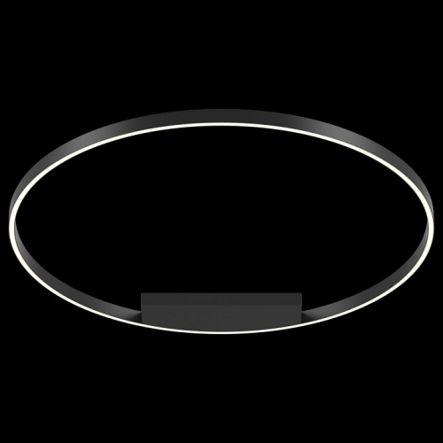 Накладной светильник Maytoni Rim MOD058CL-L65B4K. Фото №2