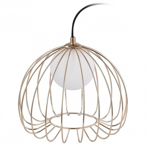 Настольная лампа декоративная Maytoni Polly MOD542TL-01G. Фото №1